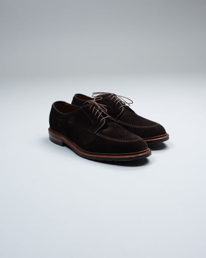 ALDEN 704L DERBY