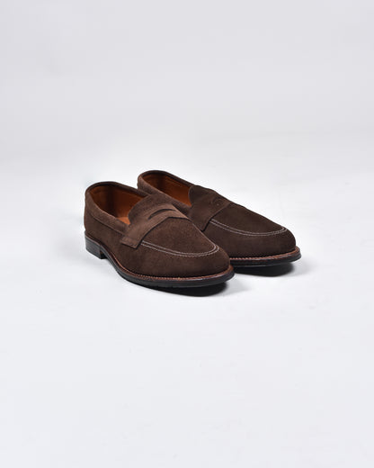 TAN SUEDE BLUCHER